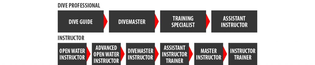 SSI Professional career path